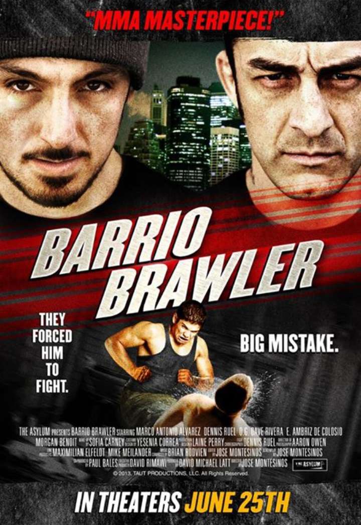 Barrio Brawler - 2013 BDRip XviD - Türkçe Altyazılı Tek Link indir